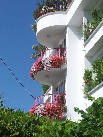 Фотографии Гостевой дом Guesthouse JANA г. Поморие (Болгария) №3 Фото Гостевой дом Guesthouse JANA г. Поморие 3